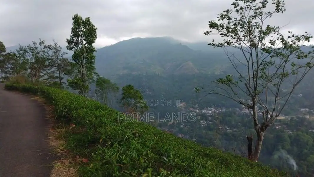 Land for Sale in Nuwaraeliya Pudaluoya
