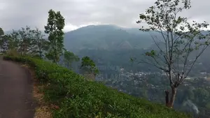 Land for Sale in Nuwaraeliya Pudaluoya
