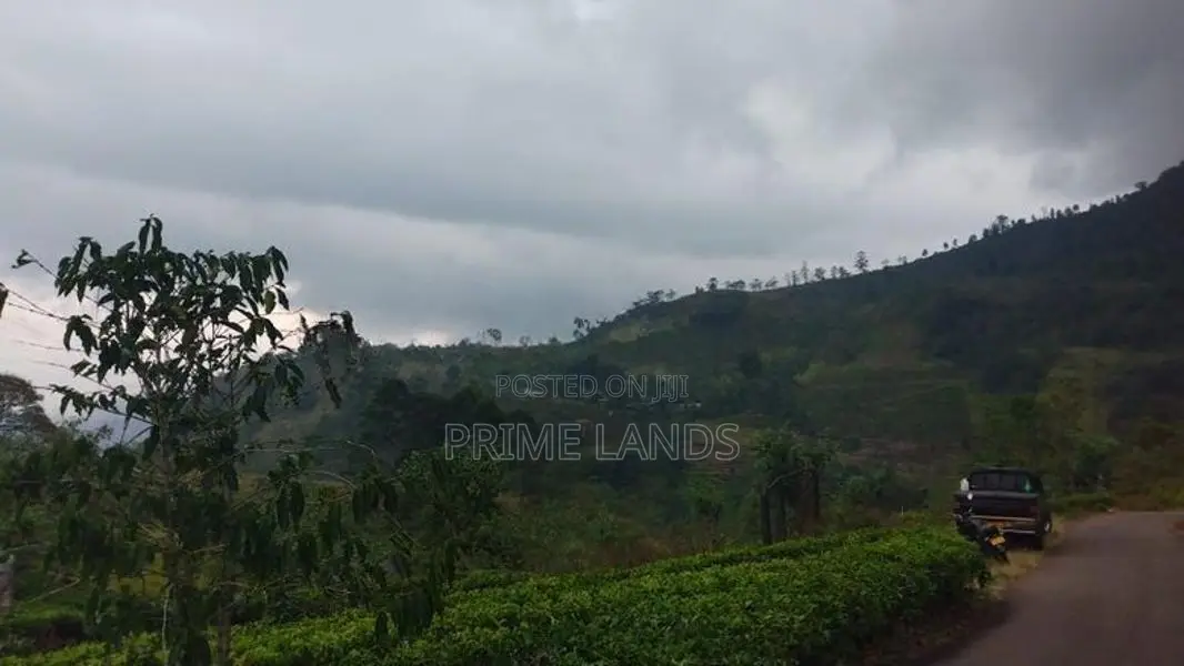Land For Sale In Nuwaraeliya Pudaluoya