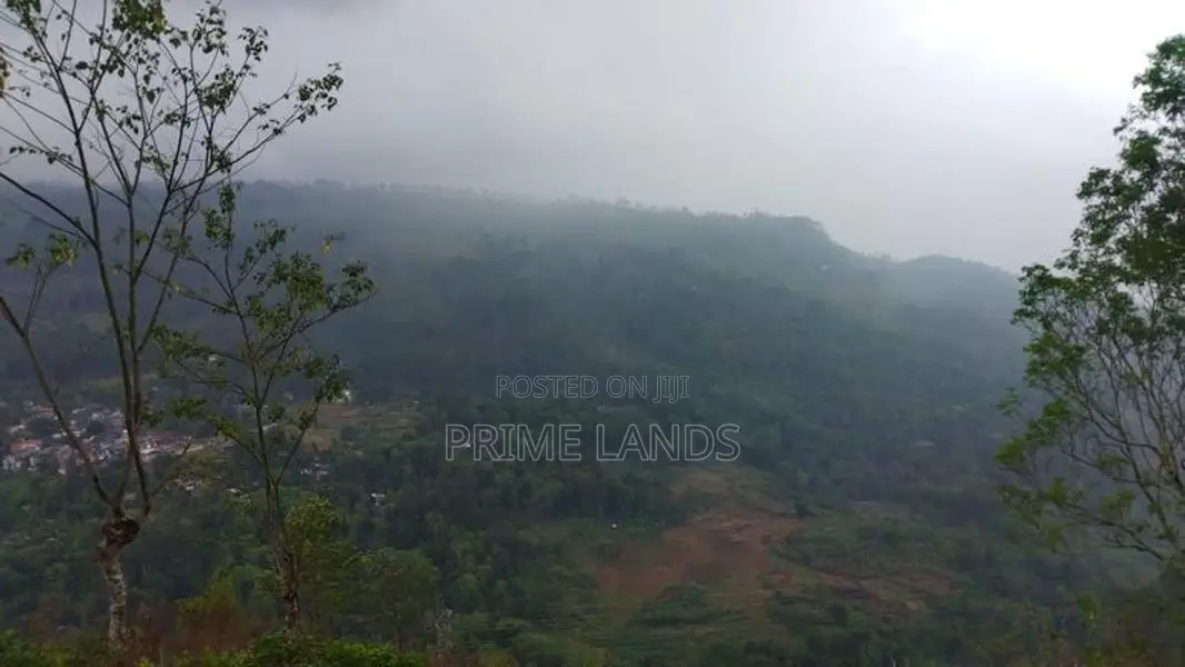 Land For Sale In Nuwaraeliya Pudaluoya