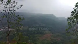 Land For Sale In Nuwaraeliya Pudaluoya