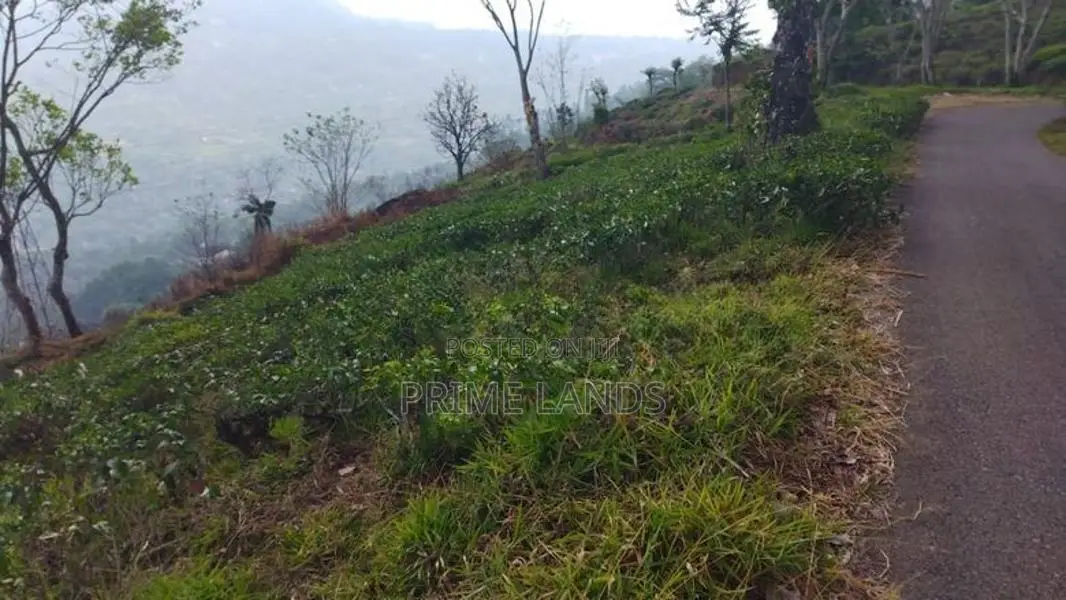 Land For Sale In Nuwaraeliya Pudaluoya