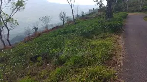 Land For Sale In Nuwaraeliya Pudaluoya