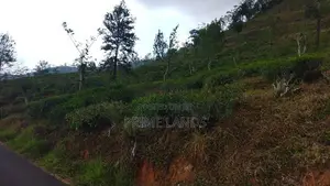 Land for Sale in Nuwaraeliya Pudaluoya