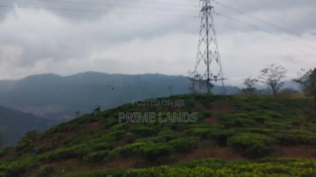 Land For Sale In Nuwaraeliya Pudaluoya