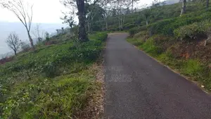 Land for Sale in Nuwaraeliya Pudaluoya