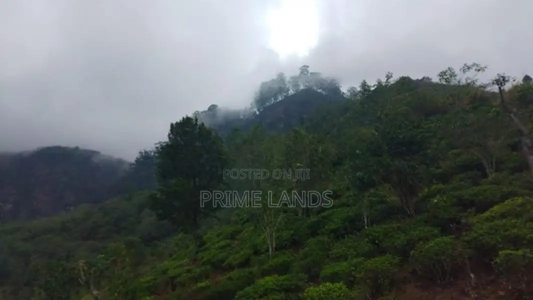 Land For Sale In Nuwaraeliya Pudaluoya