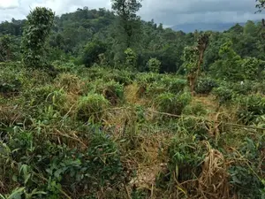 Land For Sale In Kandy Pilimatalawa