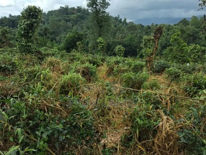 Land For Sale In Kandy Pilimatalawa