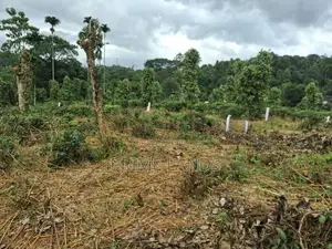 Residential Land For Sale In Kandy Pilimatalawa