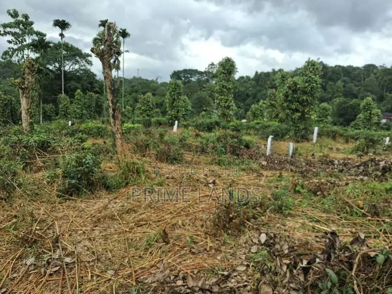 Residential Land For Sale In Kandy Pilimatalawa