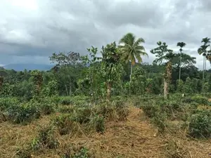 Land For Sale In Kandy Pilimatalawa