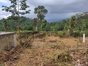 Land For Sale In Kandy Pilimatalawa