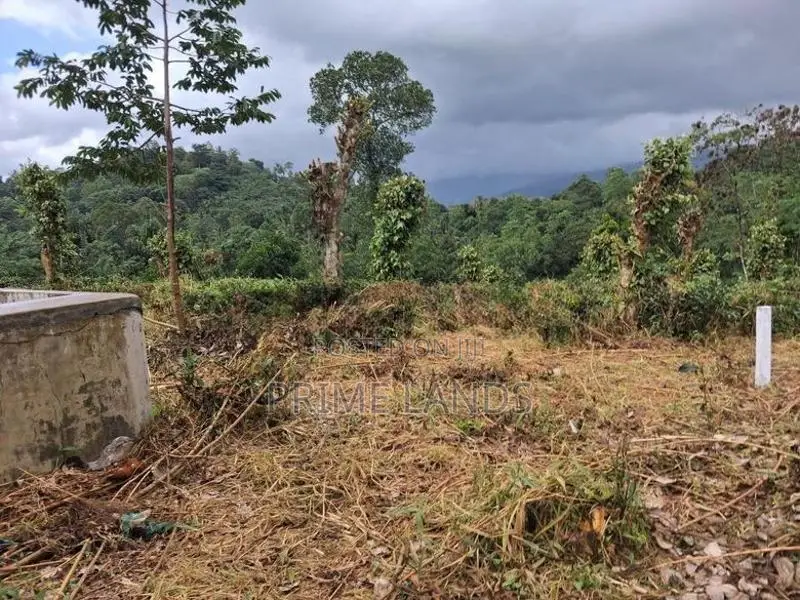 Land For Sale In Kandy Pilimatalawa
