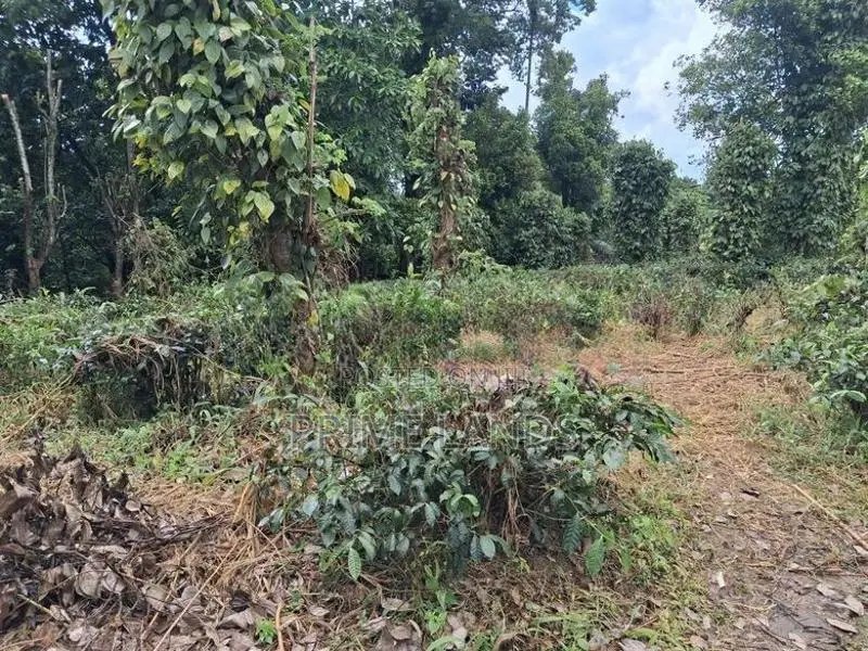 Land For Sale In Kandy Pilimatalawa
