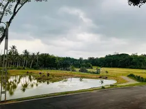 Land for Sale in Homagama - Near NSBM