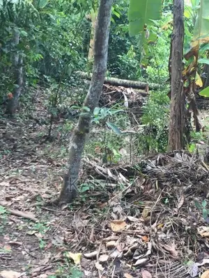 Land for Sale Next to Railway Station, Kekanadura