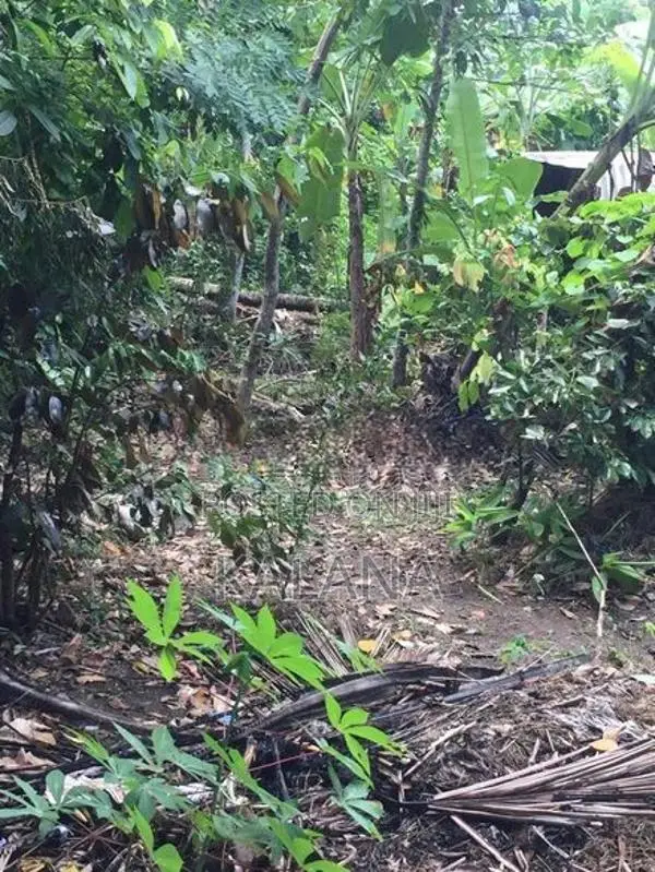 Land for Sale Next to Railway Station, Kekanadura