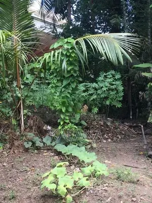 Land for Sale Next to Railway Station, Kekanadura