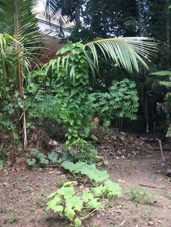 Land for Sale Next to Railway Station, Kekanadura