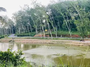 Land for Sale in Homagama - Near NSBM