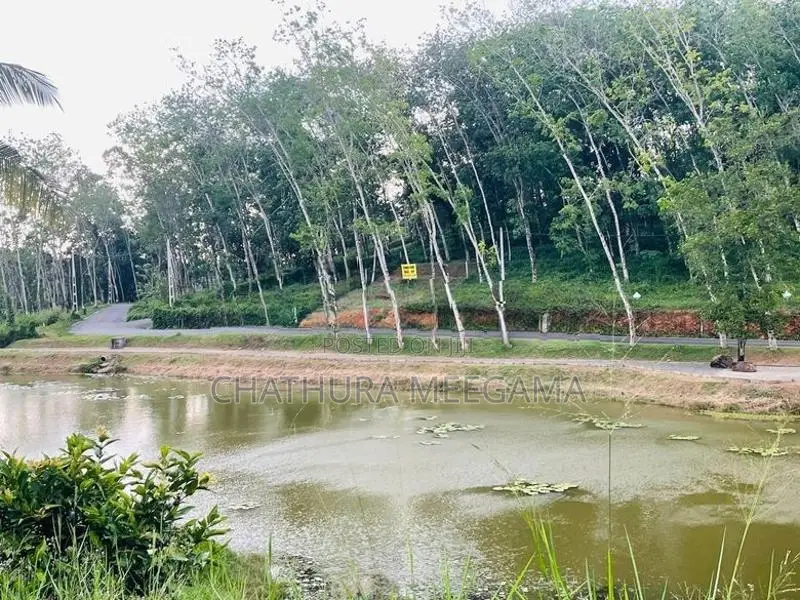 Land for Sale in Homagama - Near NSBM