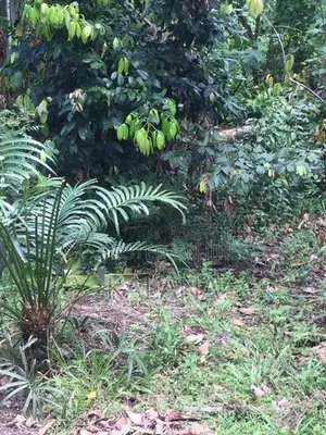 Land for Sale Next to Railway Station, Kekanadura