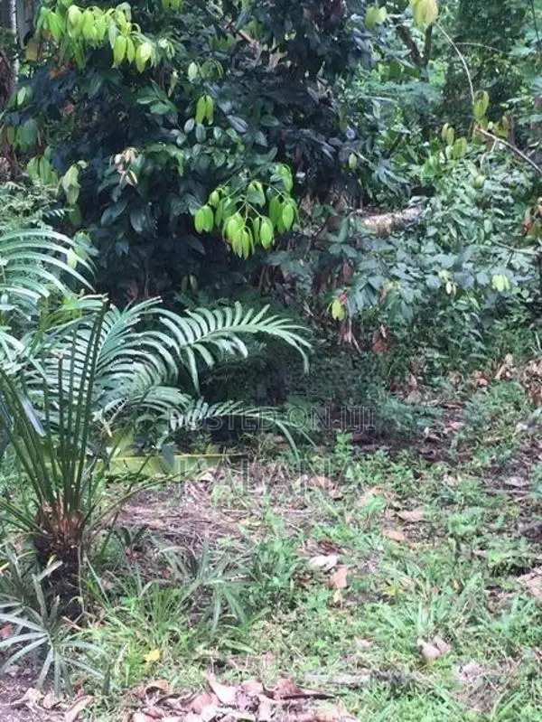 Land for Sale Next to Railway Station, Kekanadura