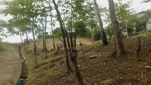Land for sale in Uthuwankanda