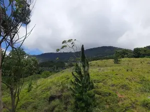 Land for sale in Delthota
