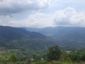 Mountain view land for sale in Pundaluoya