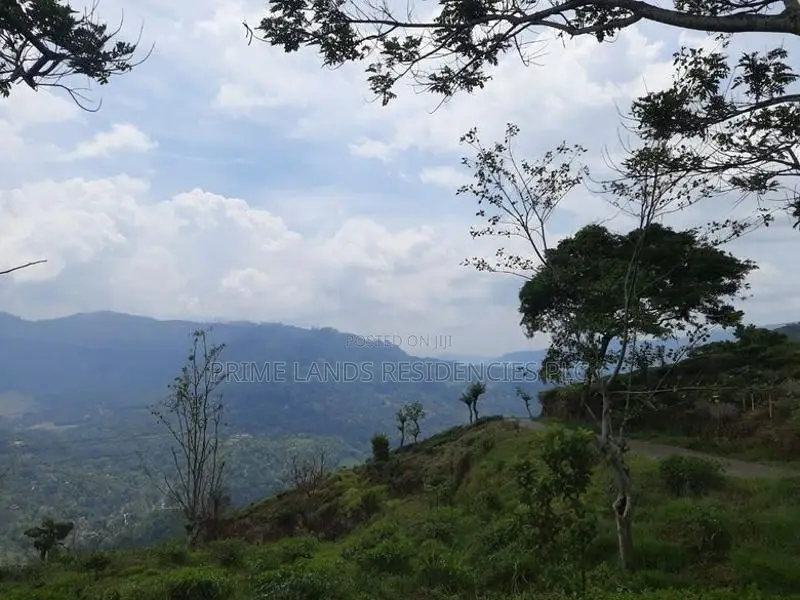 Mountain view land for sale in Pundaluoya