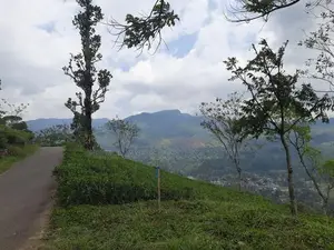 Mountain view land for sale in Pundaluoya