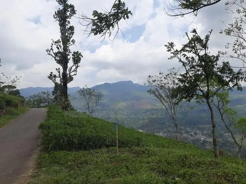 Mountain view land for sale in Pundaluoya