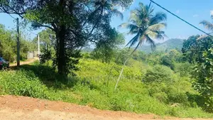 Land for Sale in Palapathwala