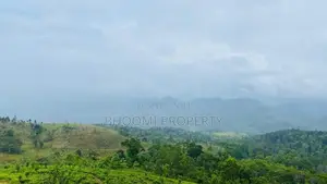 Land for Sale Doluwa