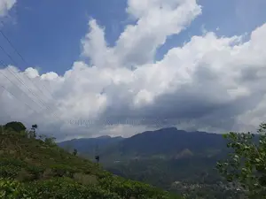 Land for sale in Pundaluoya