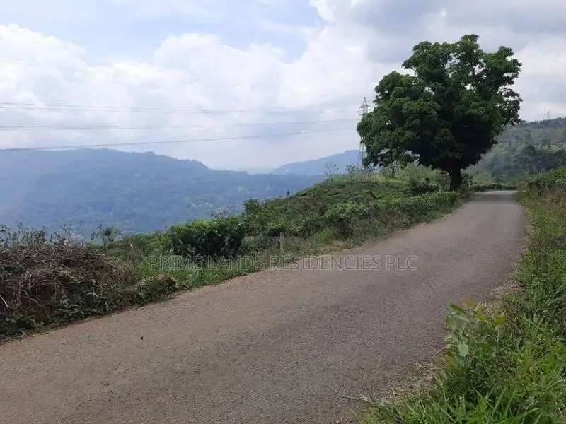 Land for sale in Pundaluoya