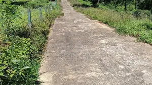 Land For Sale In Pussellawa Delta Estate