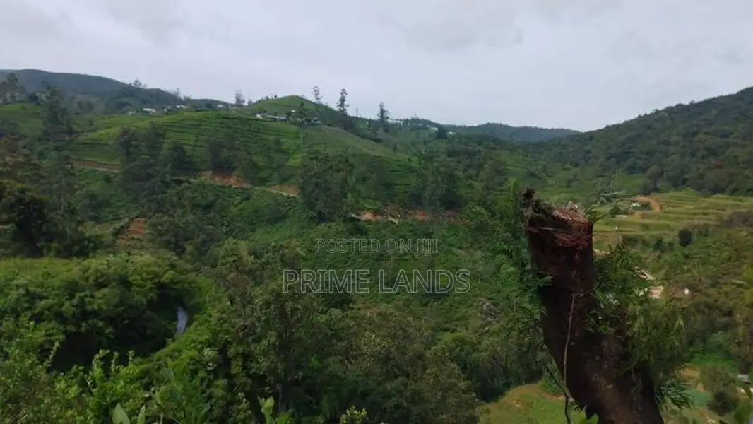 Land For Sale In Nuwaraeliya Abewela