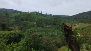 Land For Sale In Nuwaraeliya Abewela