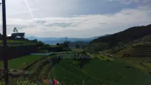 Land For Sale In Nuwaraeliya Abewela