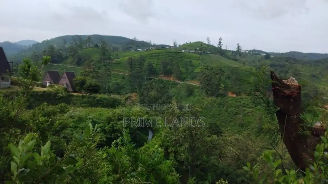 Land For Sale In Nuwaraeliya Abewela