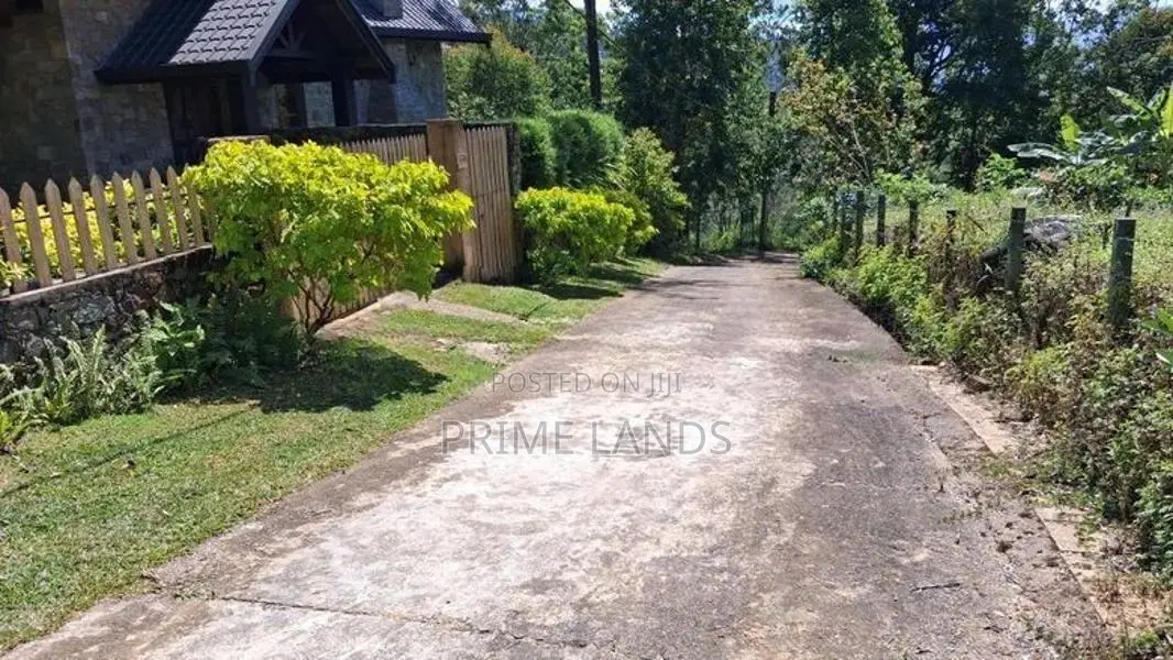 Valuable Land For Sale In Pussellawa Delta Estate