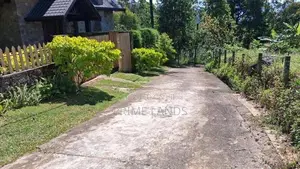 Valuable Land For Sale In Pussellawa Delta Estate