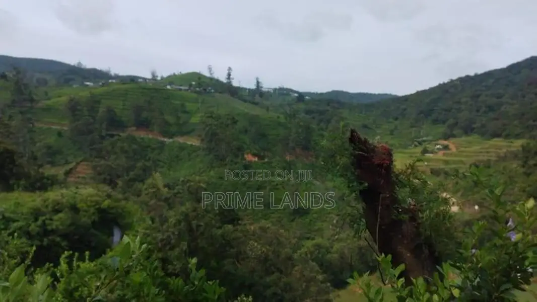 Land For Sale In Nuwaraeliya Abewela