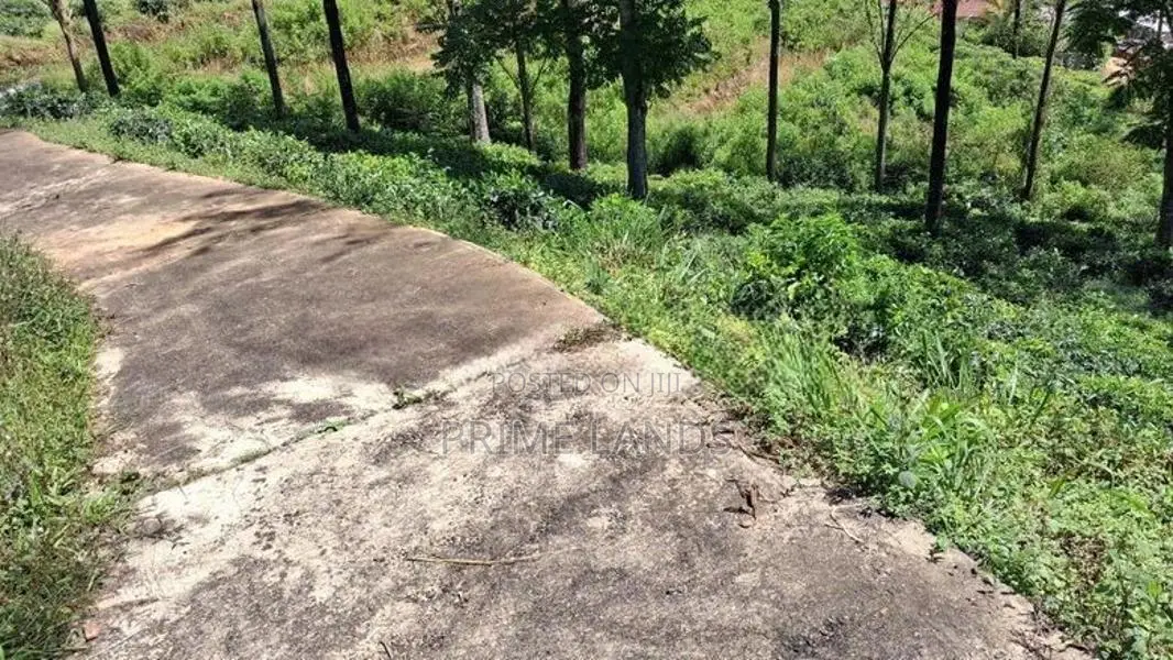 Valuable Land For Sale In Pussellawa Delta Estate
