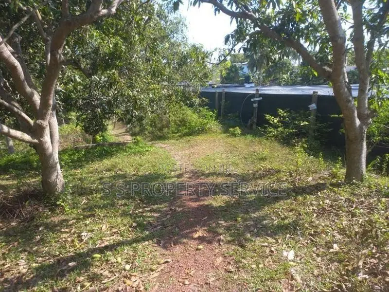 230 pearch land with ongoing fish farm for sale in Katunayaka (SSPL-37