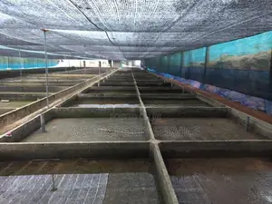 230 pearch land with ongoing fish farm for sale in Katunayaka (SSPL-37