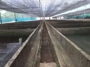 230 pearch land with ongoing fish farm for sale in Katunayaka (SSPL-37